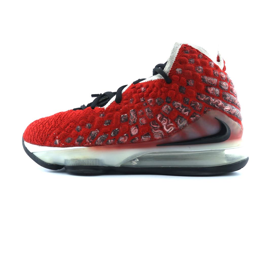LEBRON 17