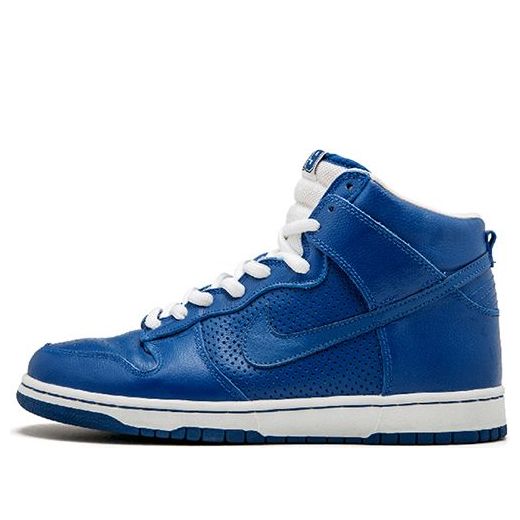Nike Dunk High Pro SB 'T-19' 305050-441 Classic Sneakers