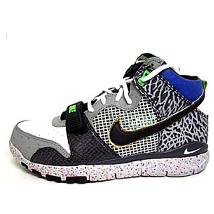 Nike Trainer Dunk High 'Mita' 317390-001 Antique Icons