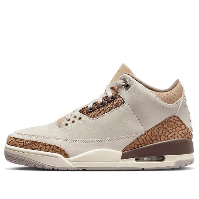Air Jordan 3 Retro 'Palomino' CT8532-102 Epochal Sneaker