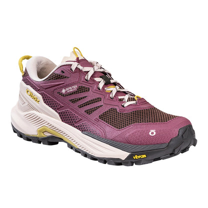 Katabatic RT Low GTX Hiking Shoes