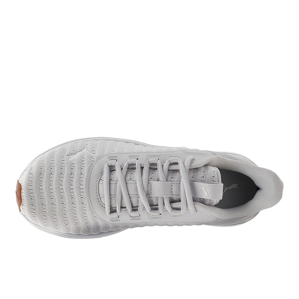 Stakd Evo Ex Running Shoes