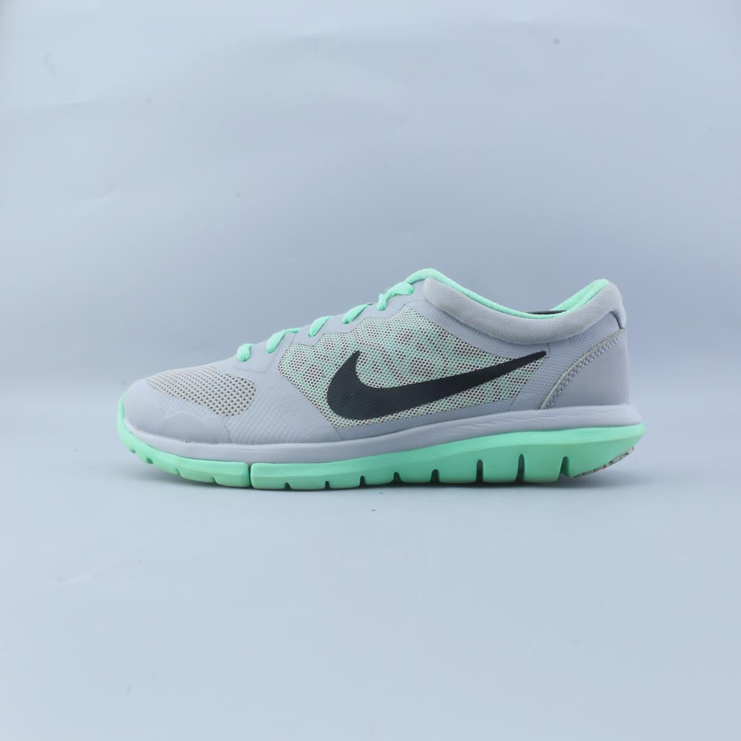 FLEX 2015 RUN