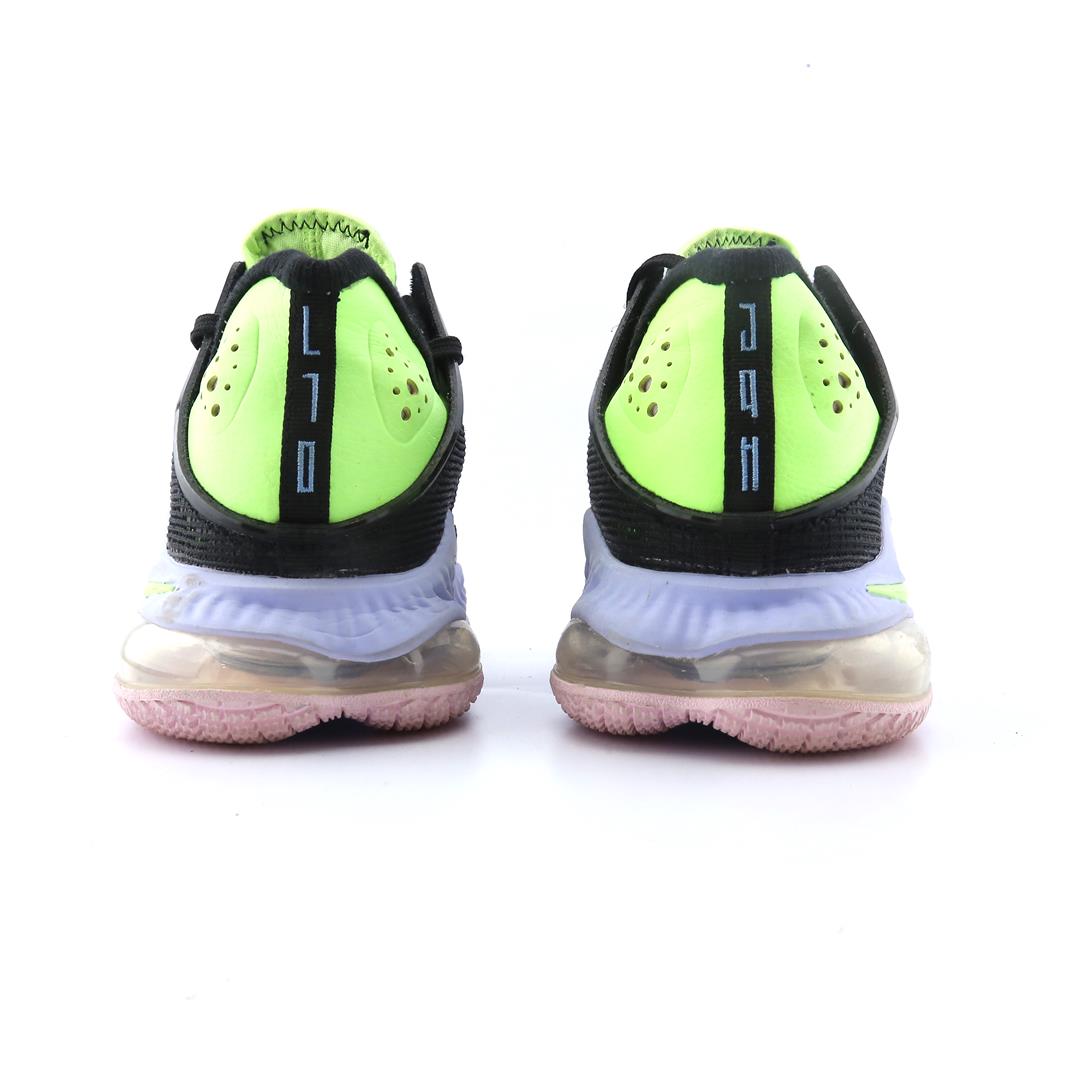 LEBRON 19 LOW