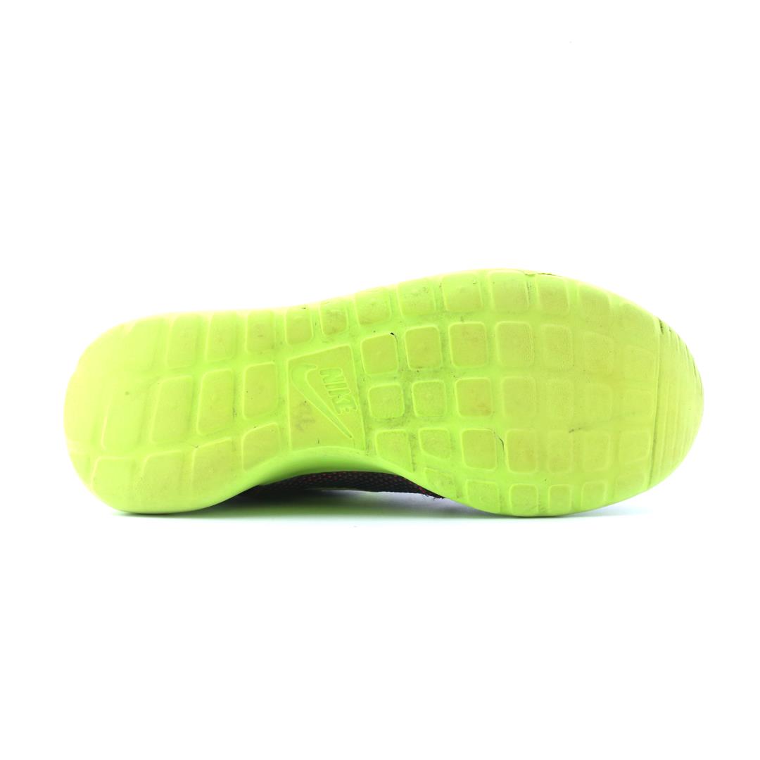 ROSHE RUN