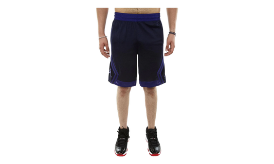 Rise Diamond Basketball Short "NAVY / PURPLE" 887438 416