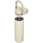 IceFlow™ Bottle with Fast Flow Lid| 24 OZ
