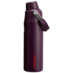 IceFlow™ Bottle with Fast Flow Lid| 24 OZ