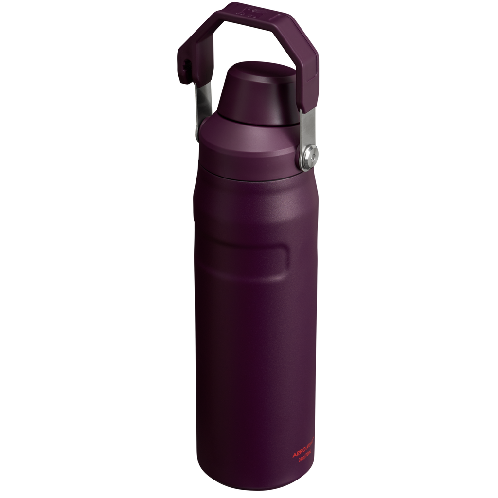 IceFlow™ Bottle with Fast Flow Lid| 24 OZ