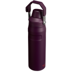 IceFlow™ Bottle with Fast Flow Lid| 24 OZ