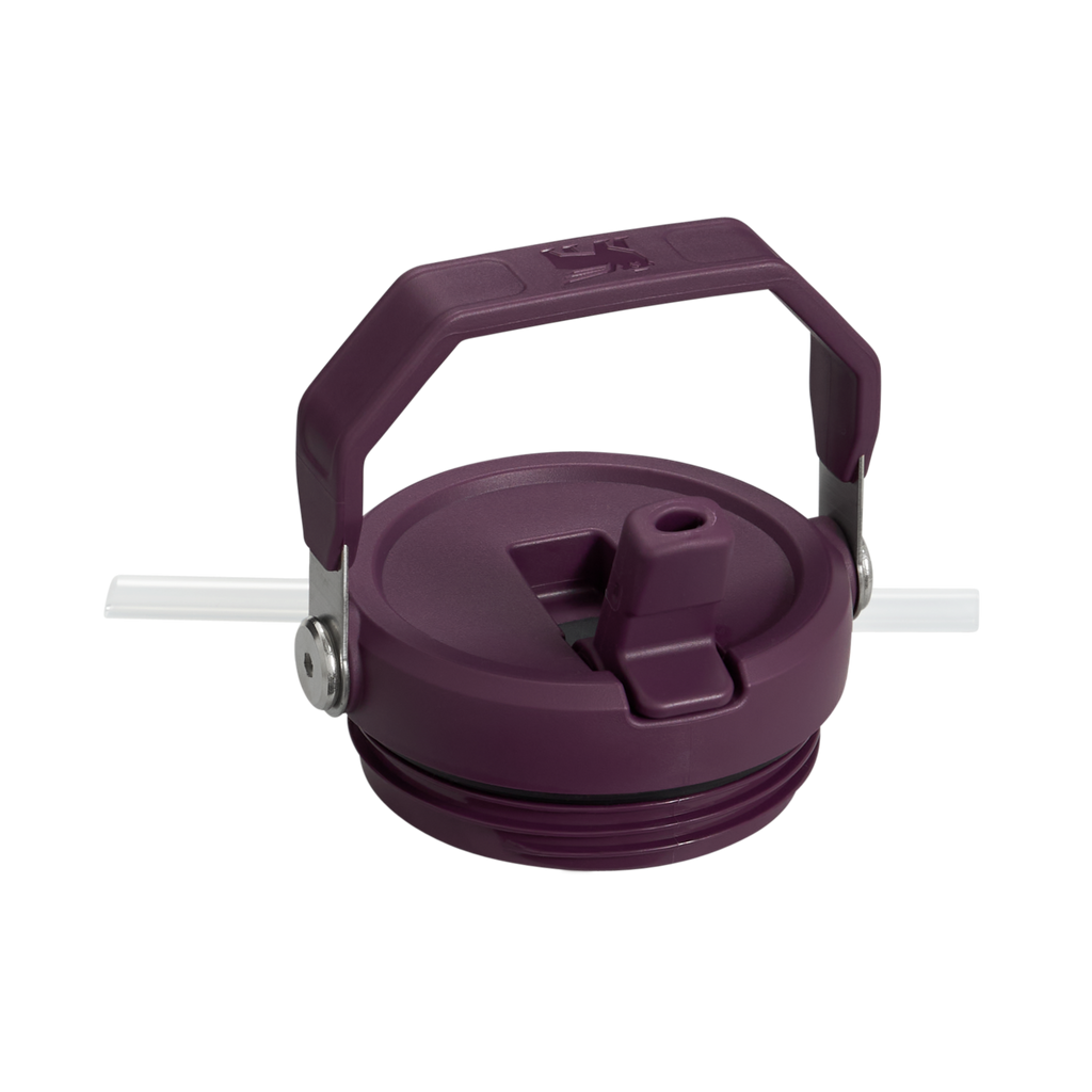 The IceFlow™ Flip Straw Tumbler| 20 OZ
