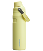 IceFlow™ Bottle with Fast Flow Lid| 24 OZ