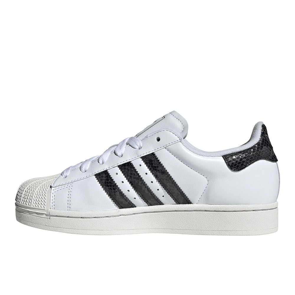 Superstar II Lace Up Sneakers