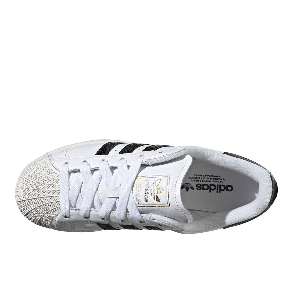 Superstar II Lace Up Sneakers