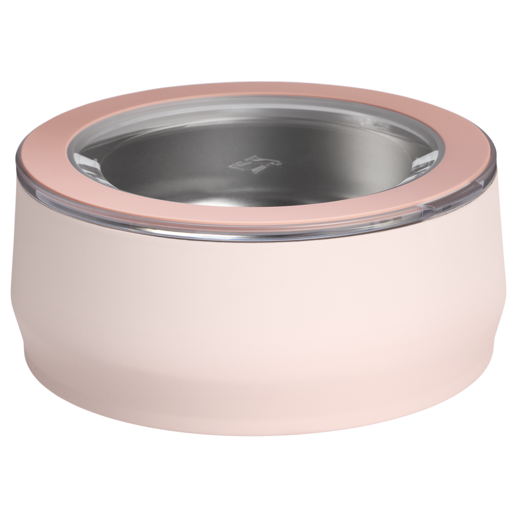The Pet Bowl| 3-cup| 24 OZ