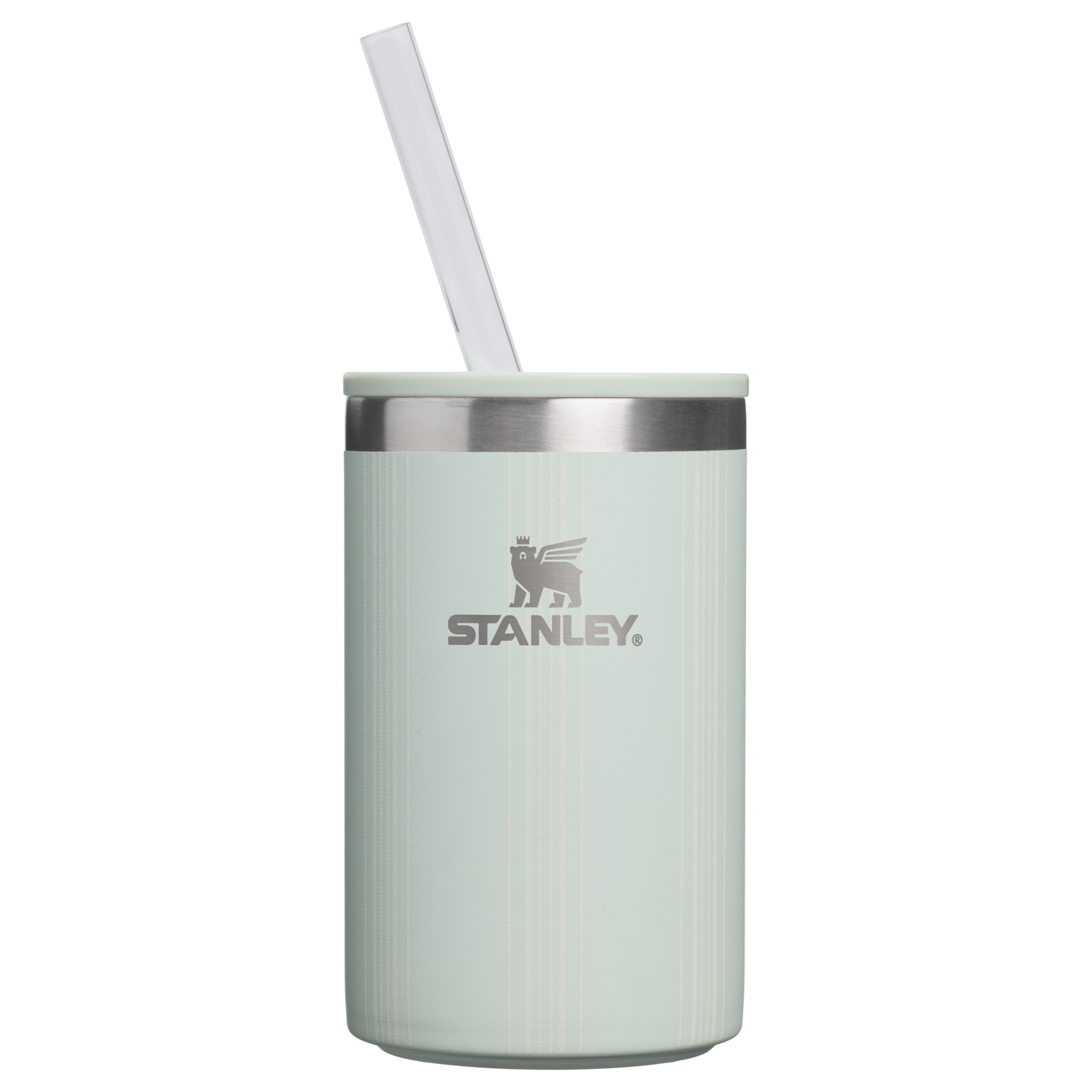 The Everyday Can Cooler Cup| 10 OZ