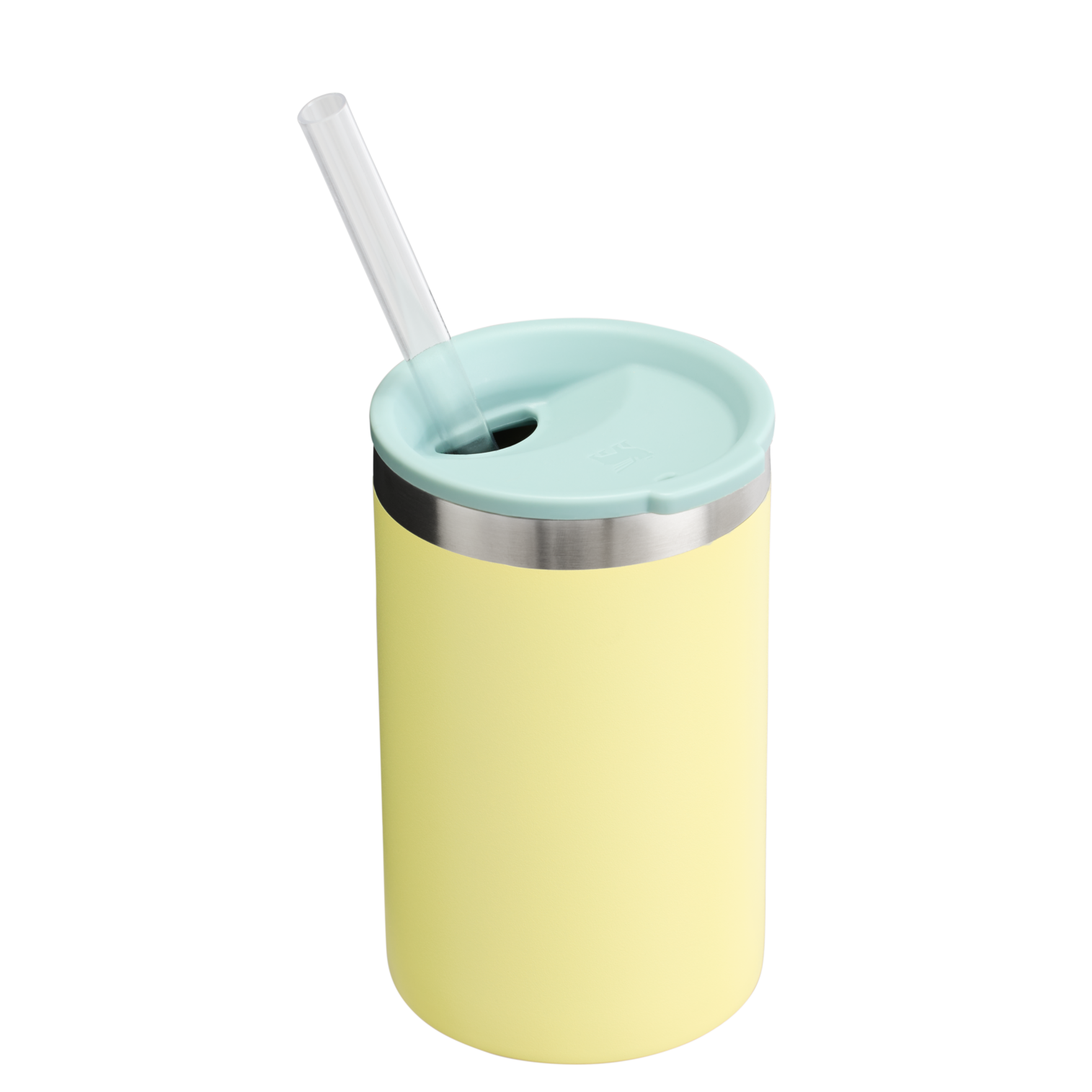 The Everyday Can Cooler Cup| 10 OZ