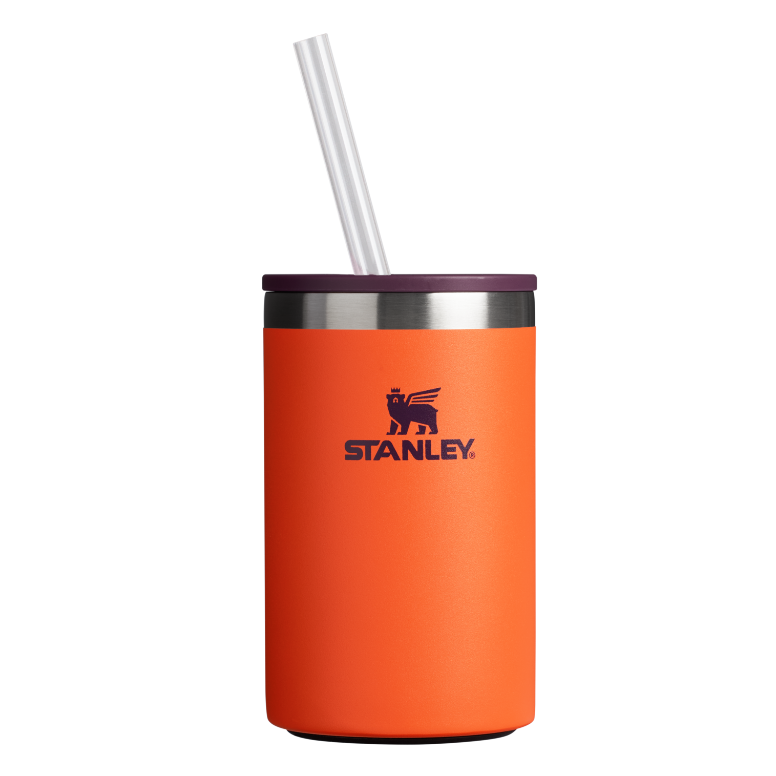 The Everyday Can Cooler Cup| 10 OZ
