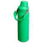 IceFlow™ Bottle with Fast Flow Lid| 24 OZ