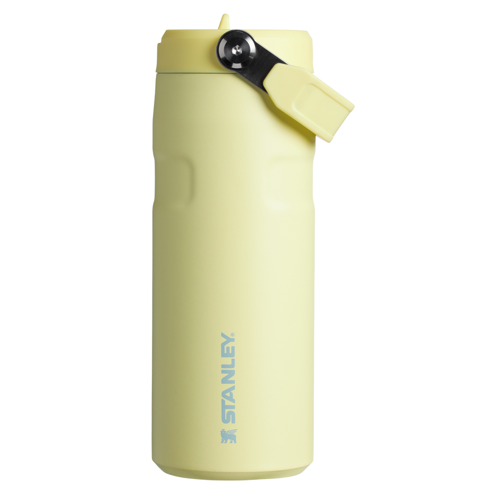 The IceFlow™ Bottle with Flip Straw Lid| 16 OZ
