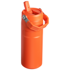 The IceFlow™ Bottle with Flip Straw Lid| 16 OZ
