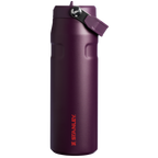 The IceFlow™ Bottle with Flip Straw Lid| 24 OZ