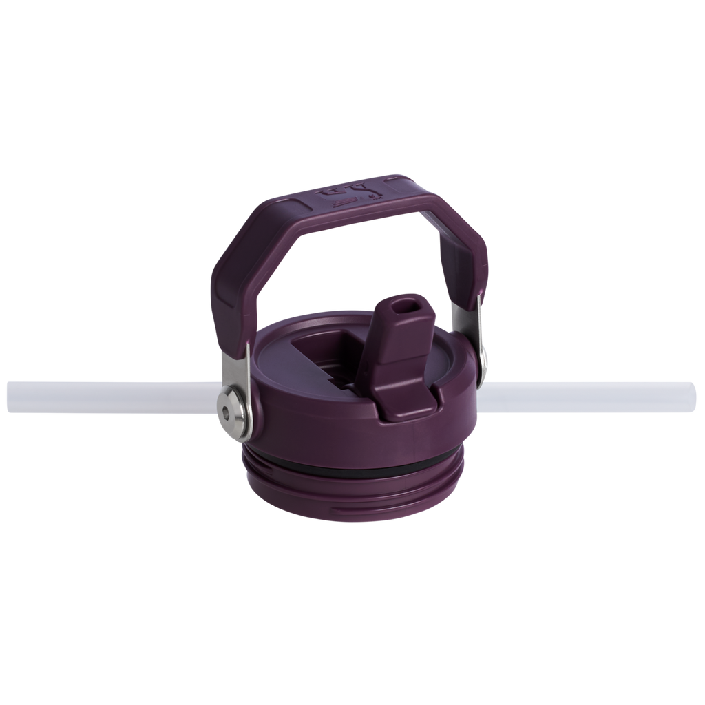 The IceFlow™ Bottle with Flip Straw Lid| 24 OZ