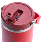 The IceFlow™ Flip Straw Tumbler| 30 OZ - Create