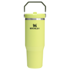 The IceFlow™ Flip Straw Tumbler| 30 OZ - Create
