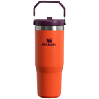 The IceFlow™ Flip Straw Tumbler| 30 OZ
