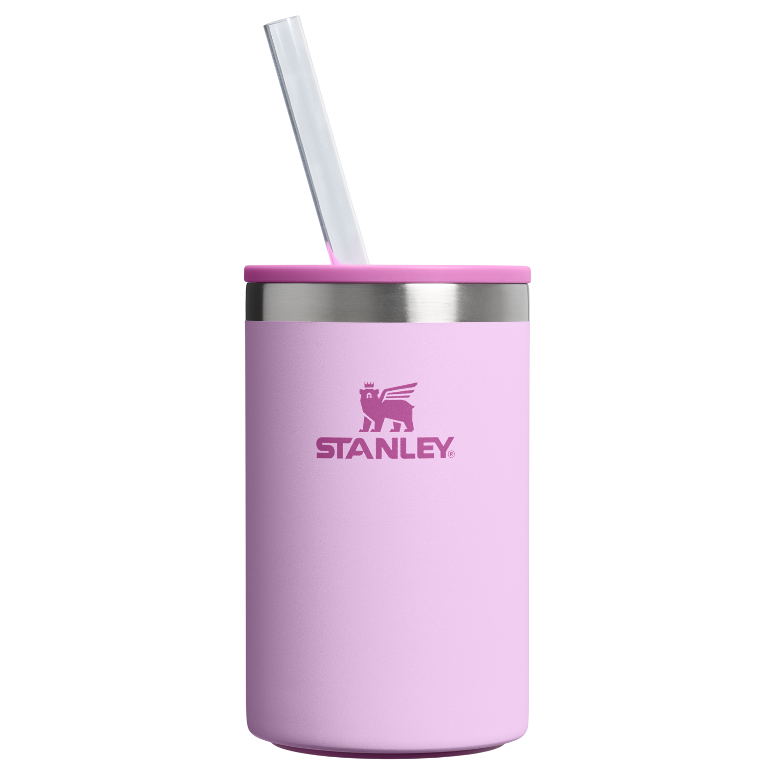 The Everyday Can Cooler Cup| 10 OZ - Create