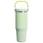 The IceFlow™ Flip Straw Tumbler| 30 OZ