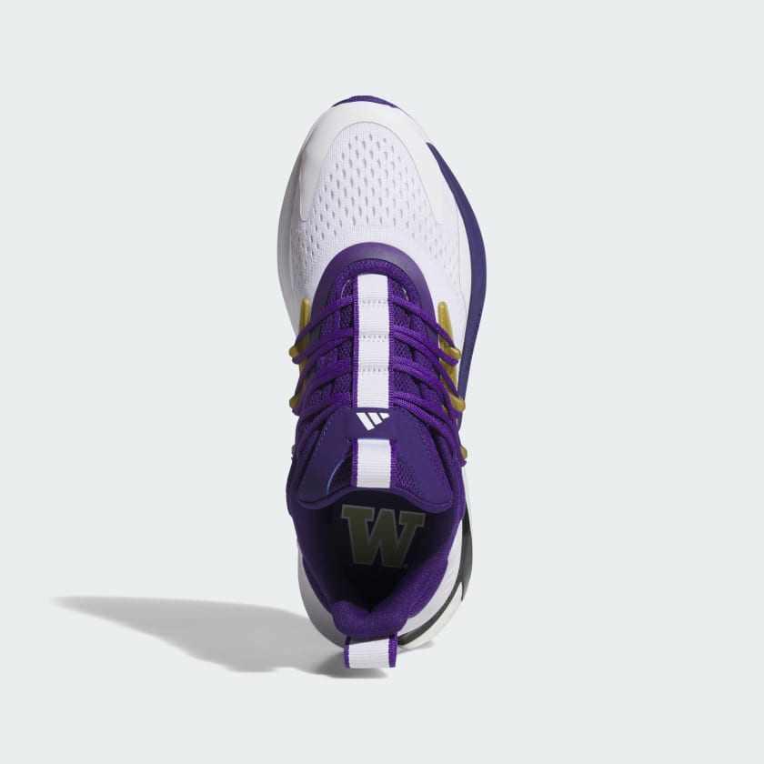 Men's adidas Washington Alphaboost V2 Shoes