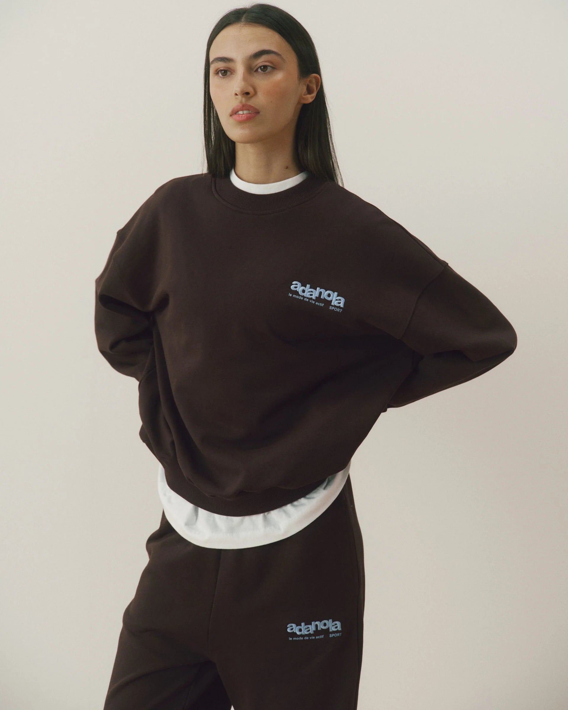Le Mode De Vie Oversized Sweatshirt - Coffee Bean/Airy Blue