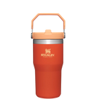 The IceFlow™ Flip Straw Tumbler| 20 OZ - Create